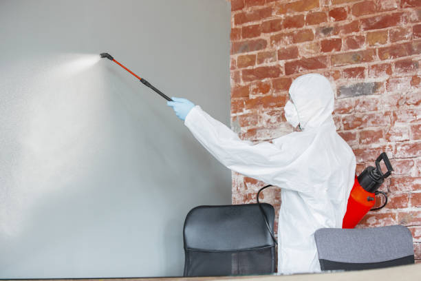 Best Commercial Mold Inspection  in Richland, WA