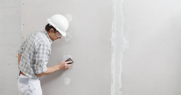 Best Mold Odor Removal Services  in Richland, WA
