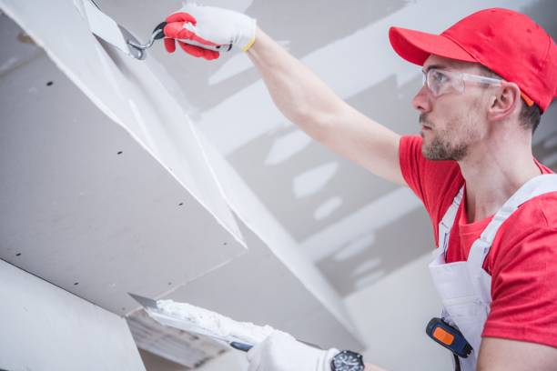 Professional Mold Removal in Richland, WA